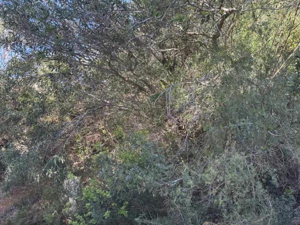 Terreno en Cumbre del Sol