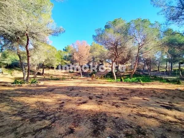 Terreno en Colonia Escandinavia-Cautivador