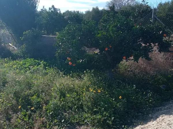 Terreno en Cv-823, 15