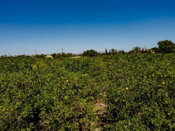 Terreno en Las Bayas-Asprillas