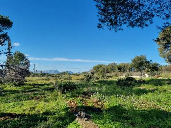 Terreno en calle Lici, 25 -32