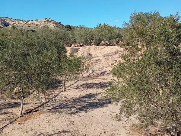 Terreno en La Galia-Bonavista