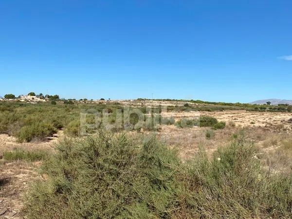 Terreno en camino del Vincle a la Vereda de Dolores