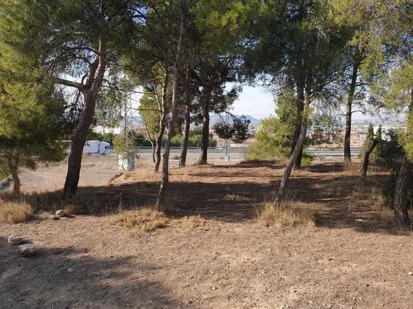 Terreno en partida celada s/n