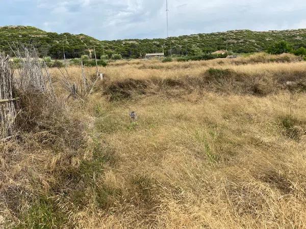 Terreno en Sector Playa s/n