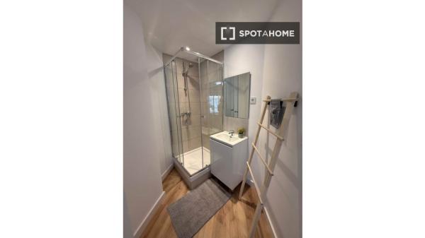 Chambre à louer dans un appartement partagé à Alicante