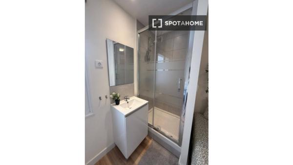 Chambre à louer dans un appartement partagé à Alicante