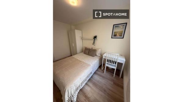 Chambre à louer dans un appartement partagé à Alicante
