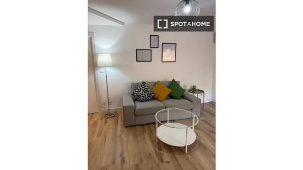 Chambre à louer dans un appartement partagé à Alicante