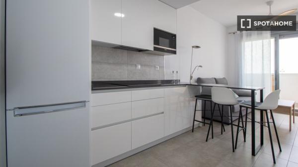 Apartamento entero de 1 dormitorio en Cádiz