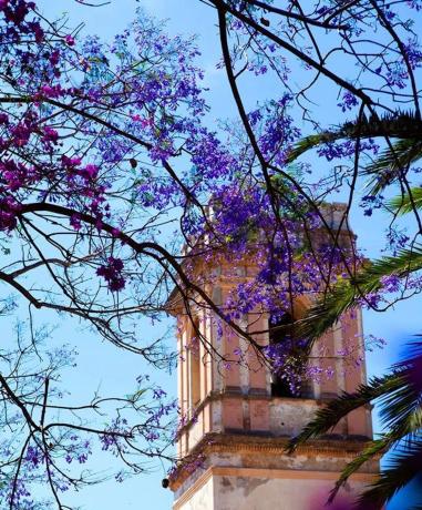 Chalet adosado en venta en calle Riu Vernissa, 31