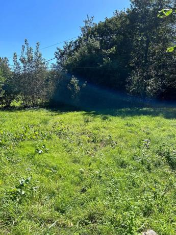 Casa o chalet independiente en venta en Barrio la Caleya s/n