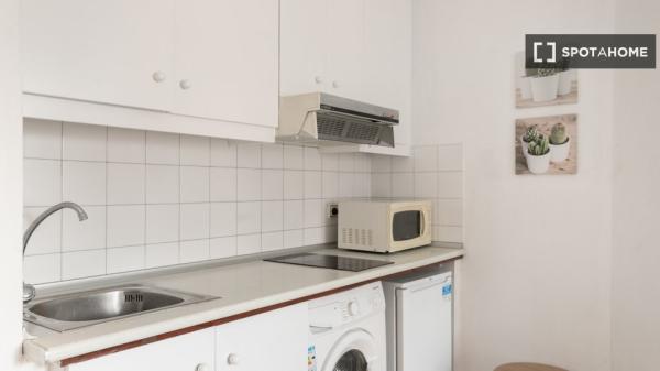 Luminoso estudio totalmente amueblado en Sants