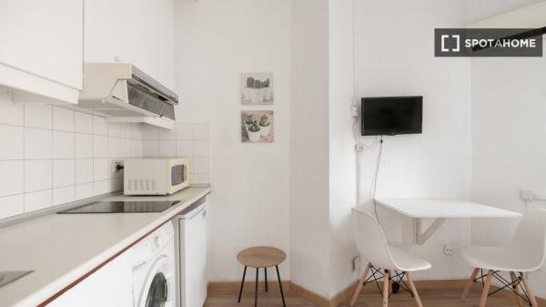 Luminoso estudio totalmente amueblado en Sants