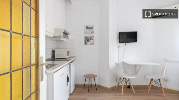 Luminoso estudio totalmente amueblado en Sants