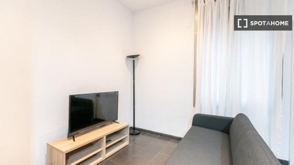 Piso totalmente equipado a un paso del Centro Comercial Gran Via 2