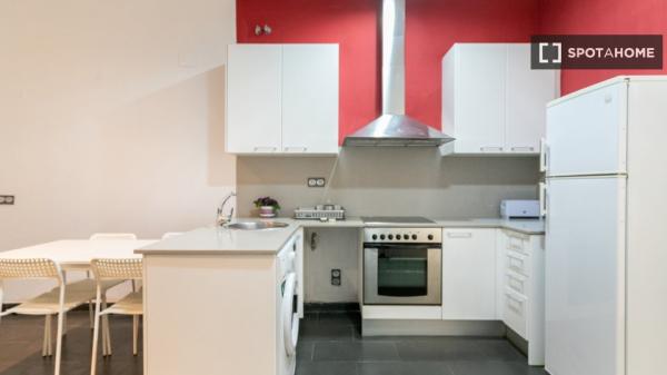 Piso totalmente equipado a un paso del Centro Comercial Gran Via 2