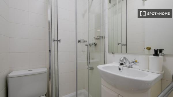 Alquilo habitacion en Madrid