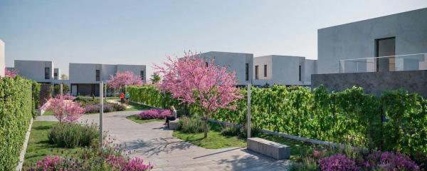 Sevilla Homes Design