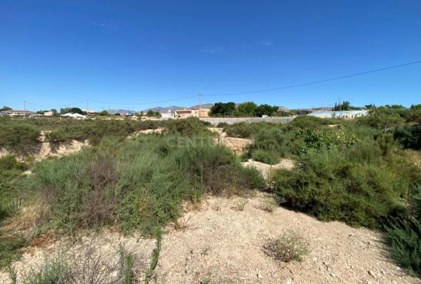 Casa independiente en Partida el Boch