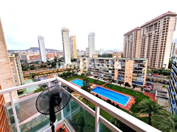 Estudio en avenida Marina Baixa