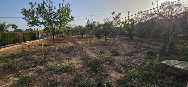 Casa independiente en camino del Dipòsits, 402