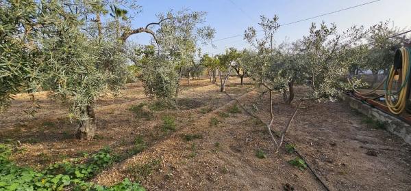 Casa independiente en camino del Dipòsits, 402