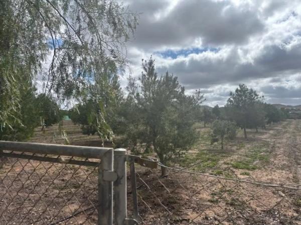 Casa independiente en camino Sierra De Orts, 17