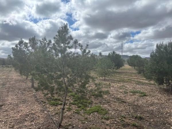 Casa independiente en camino Sierra De Orts, 17