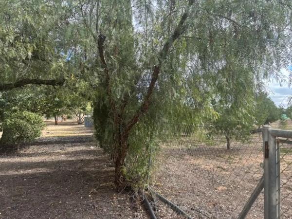 Casa independiente en camino Sierra De Orts, 17