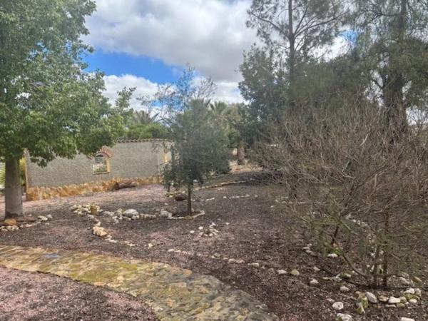 Casa independiente en camino Sierra De Orts, 17