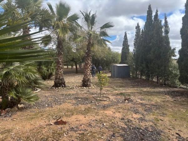 Casa independiente en camino Sierra De Orts, 17
