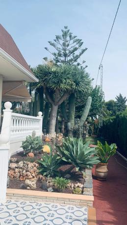 Casa independiente en calle Río Guadalquivir, 42