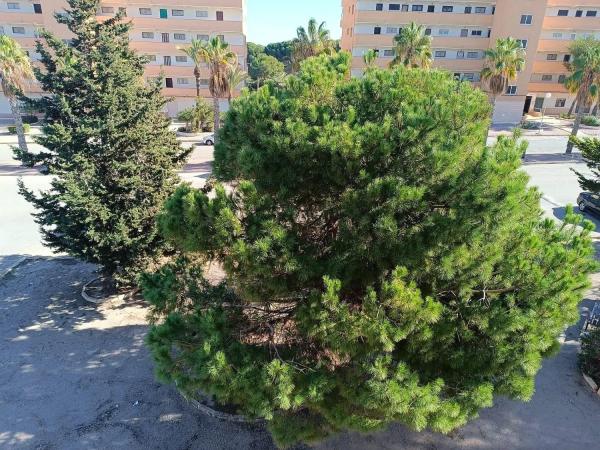 Piso en Urbanizaciones