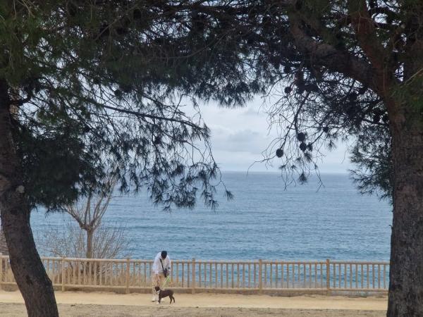 Dúplex en calle Baladre s/n