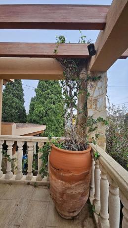 Casa independiente en avenida de los Árboles, 2