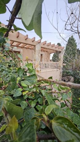 Casa independiente en avenida de los Árboles, 2