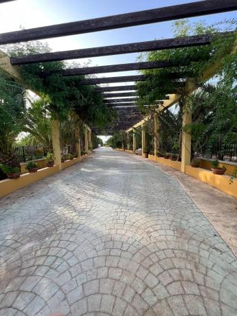 Casa independiente en Partida Valverde Bajo, 146