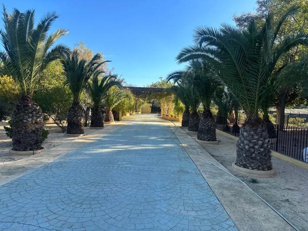 Casa independiente en Partida Valverde Bajo, 146