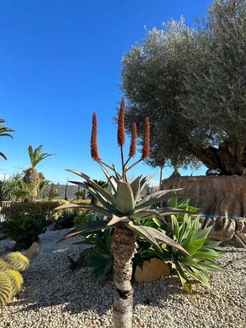 Casa independiente en Partida Valverde Bajo, 146