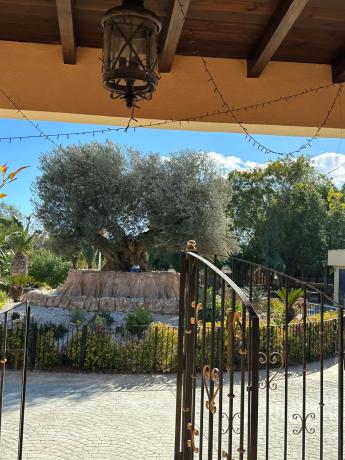 Casa independiente en Partida Valverde Bajo, 146