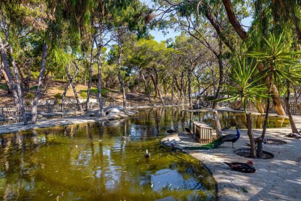 Piso en avenida del País Valencià