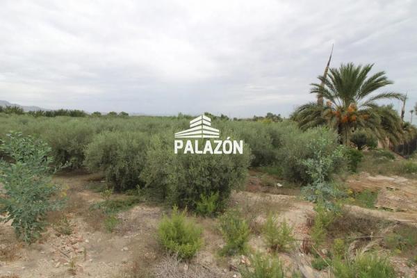 Chalet en Crevillente