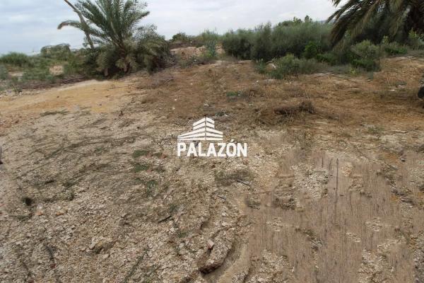 Chalet en Crevillente