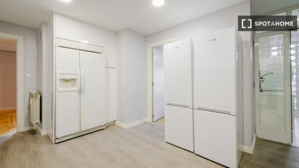 Alquilo habitacion en Madrid