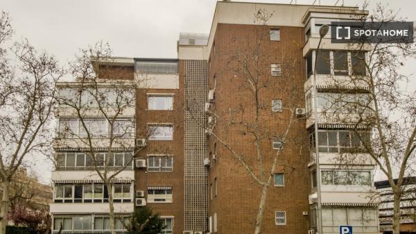 Alquilo habitacion en Madrid