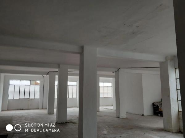 Estudio en calle Cardenal Payá, 31