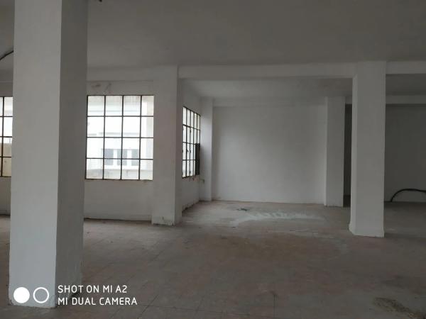 Estudio en calle Cardenal Payá, 31