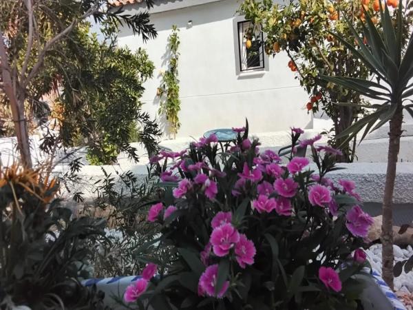 Casa independiente en calle Esperanto