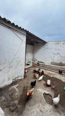 Casa independiente en calle dels Rosers, 3
